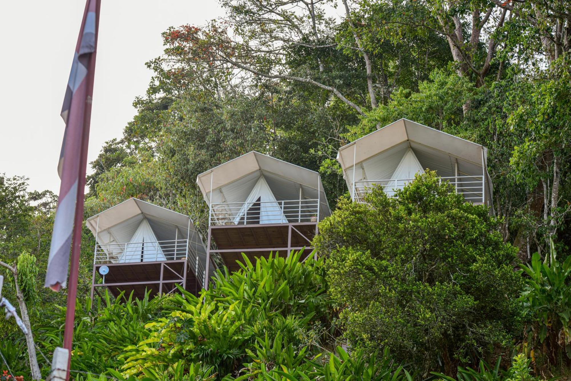 Quimera Glamping Pacuar Экстерьер фото